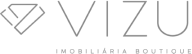 logo-vizu